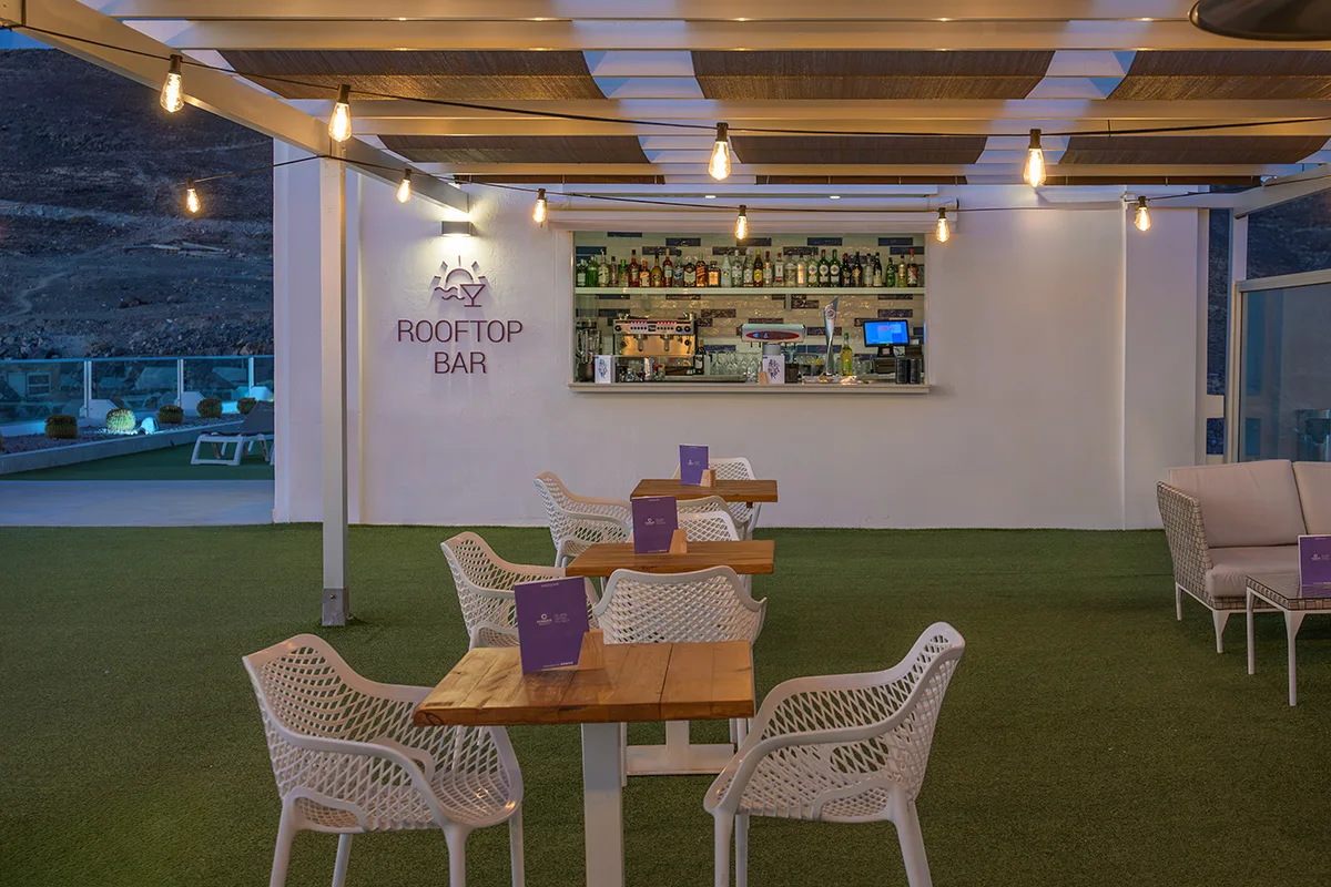 Rooftop Bar del Fergus Cactus Garden