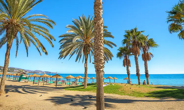Destinations Malaga Torremolinos Fergus Hotels