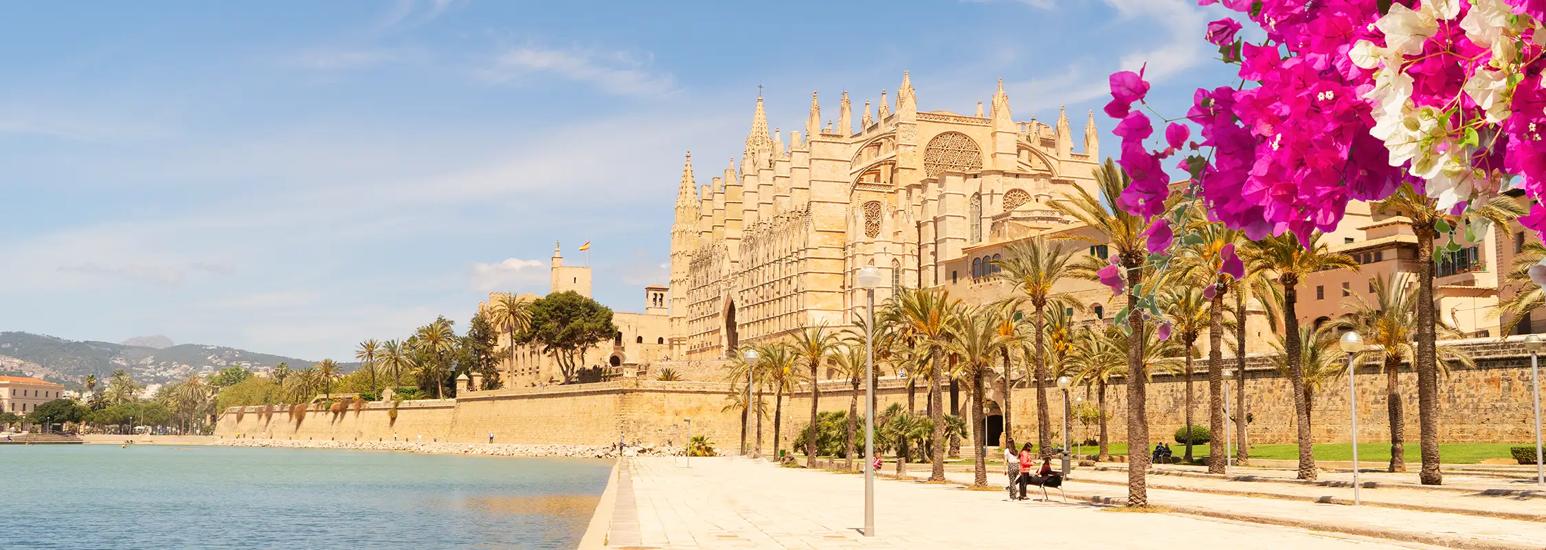 Destinos Mallorca Fergus Hotels