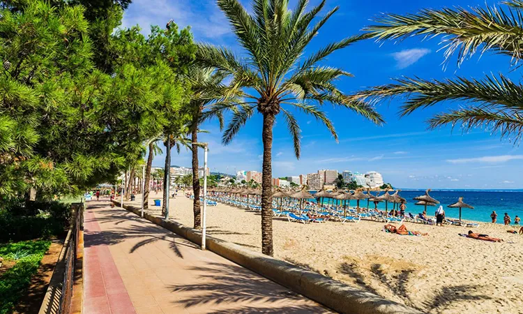 Reiseziele Mallorca Magaluf Fergus Hotels Reiseziele Mallorca Magaluf Fergus Hotels