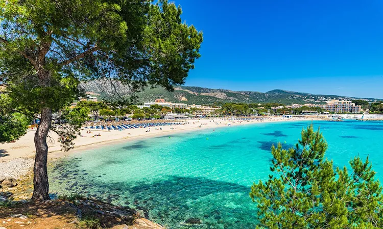 Reiseziele Mallorca Palmanova Fergus Hotels Reiseziele Mallorca Palmanova Fergus Hotels