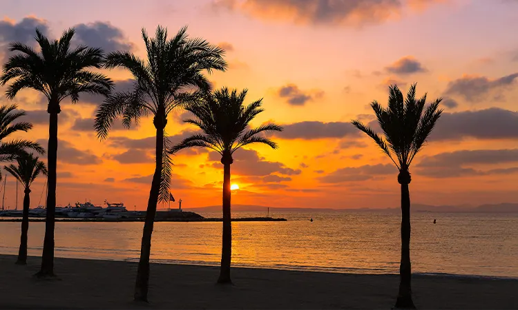 Reiseziele Mallorca Playa de Palma Fergus Hotels Reiseziele Mallorca Playa de Palma Fergus Hotels