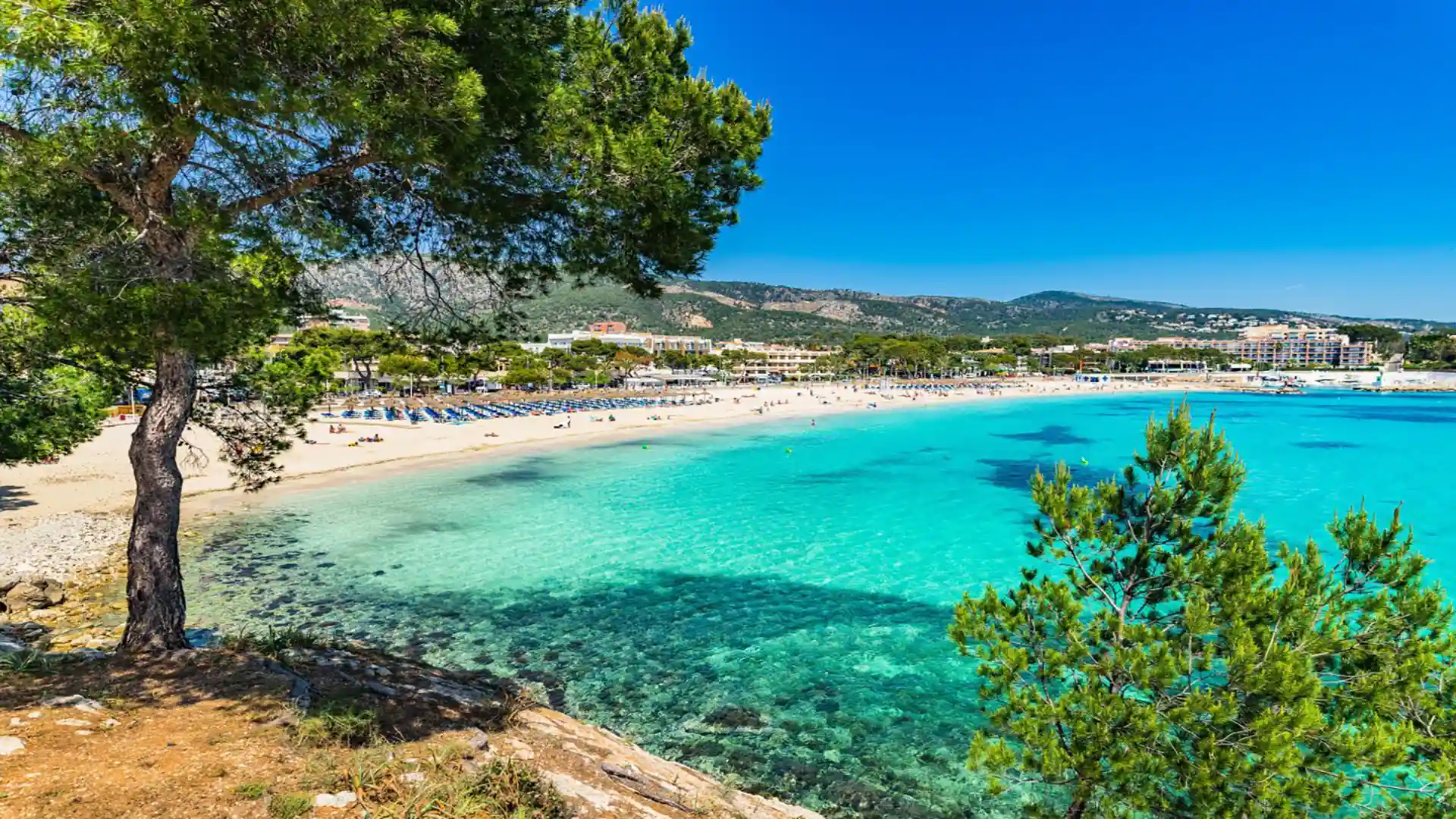 hero destinations Palmanova en Majorque fergus hotels