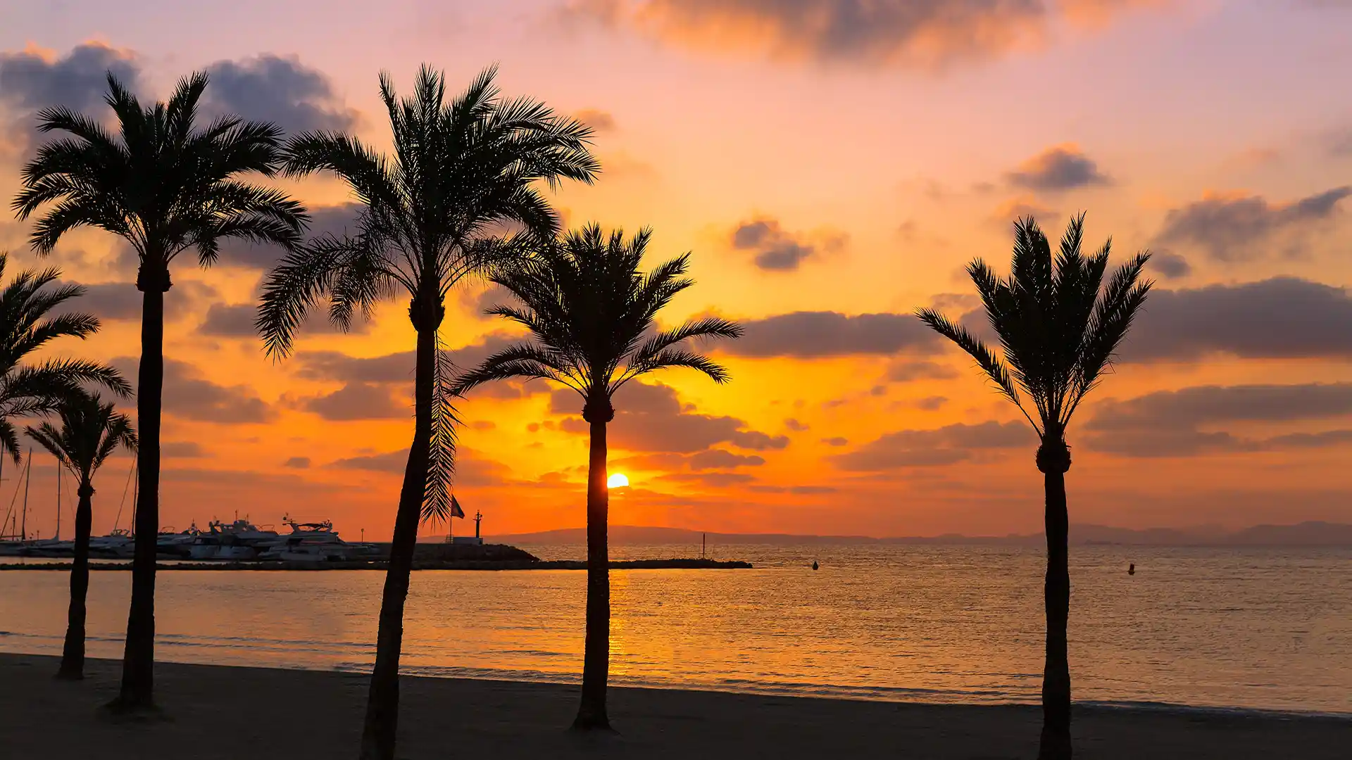 hero destinations Majorque Playa de Palma fergus hotels