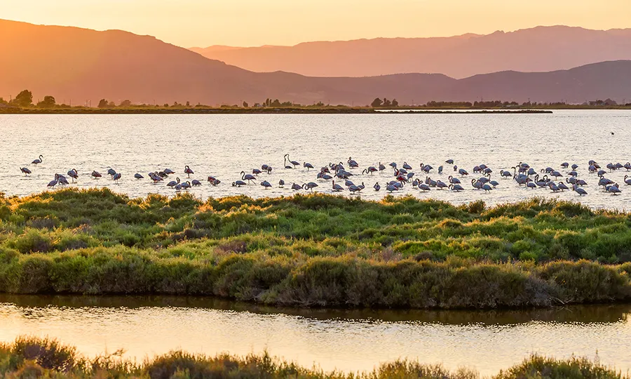 Ebre Natural Park destinations Tarragona FERGUS Hotels