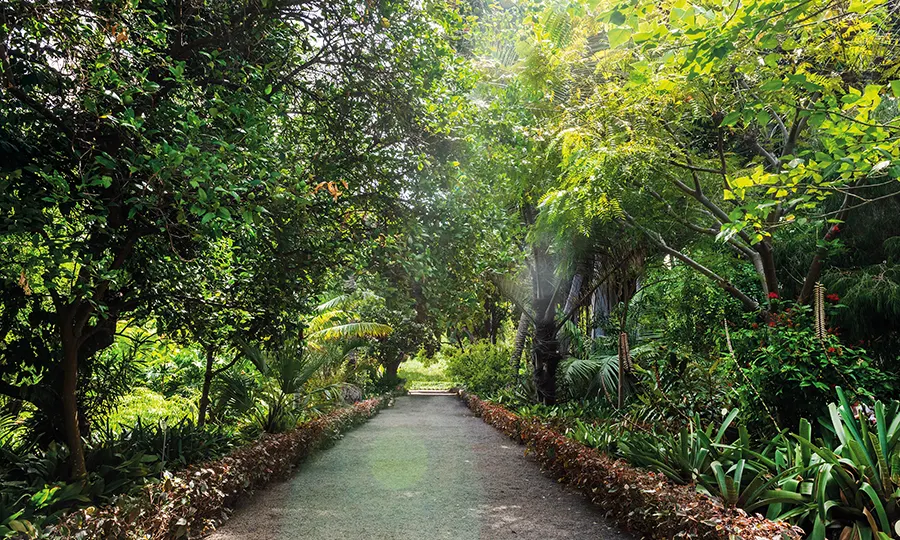 Botanic Garden destinations Puerto de la Cruz Tenerife FERGUS Hotels