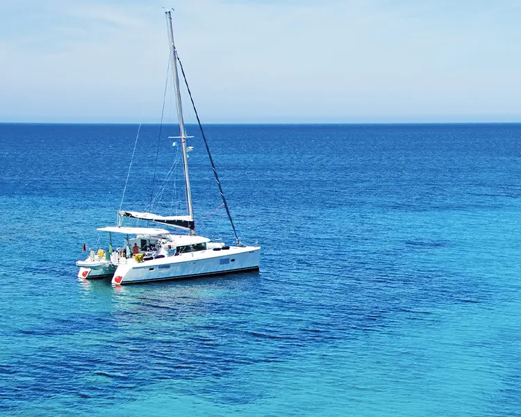 catamaran in Mallorca catamaran in Mallorca Fergus Club Palmanova Park