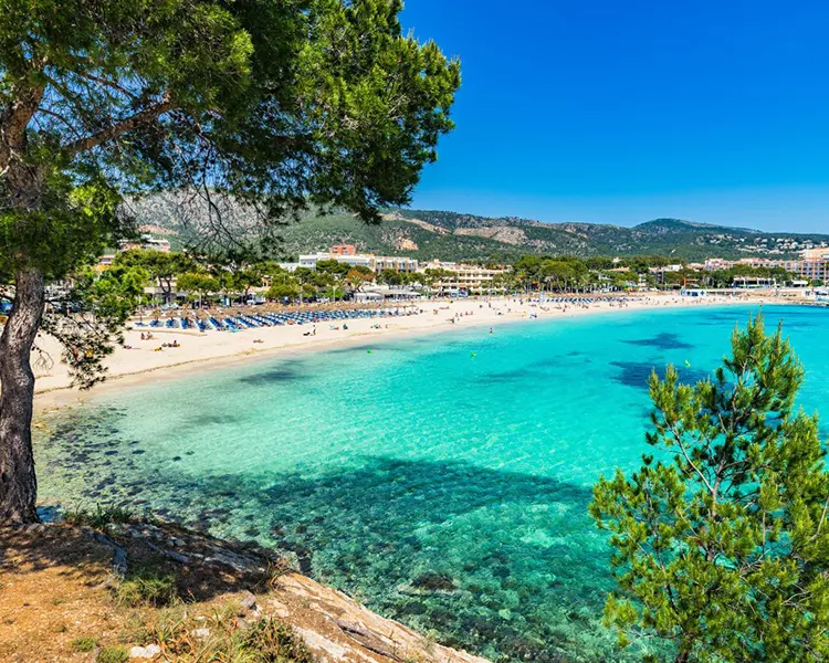 Palmanova beach views Palmanova beach views Fergus Club Palmanova Park