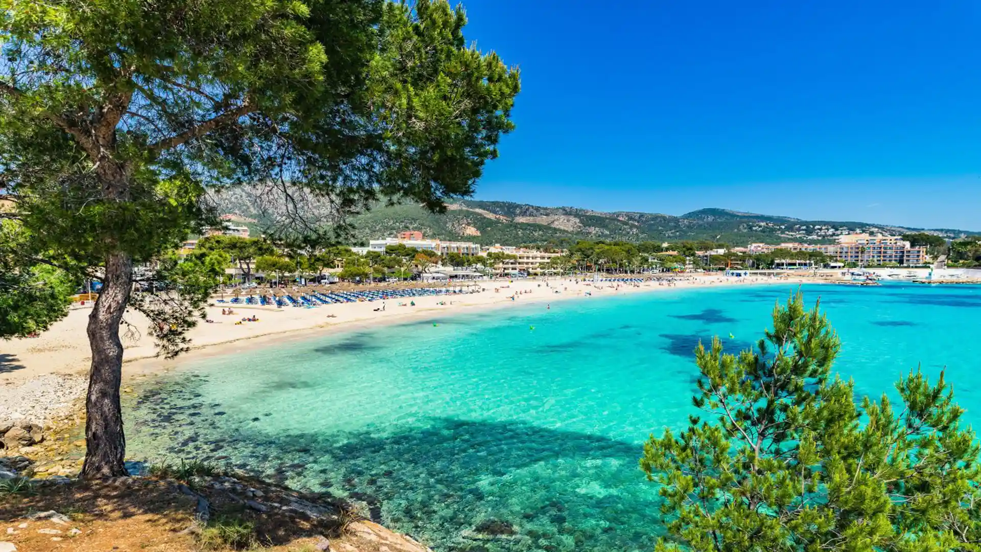 Destination Pineda de Mar Fergus Hotels Destination Pineda de Mar Barcelona Fergus Hotels