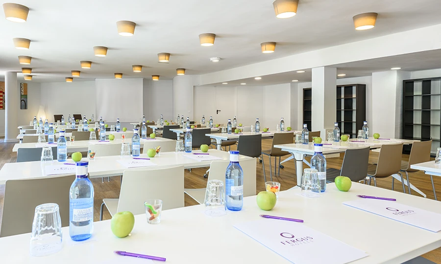 MICE MICE Fergus Club Palmanova Park