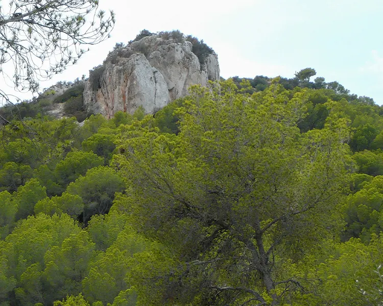 Parc natural de Montnegre Fergus Club Pineda Splash