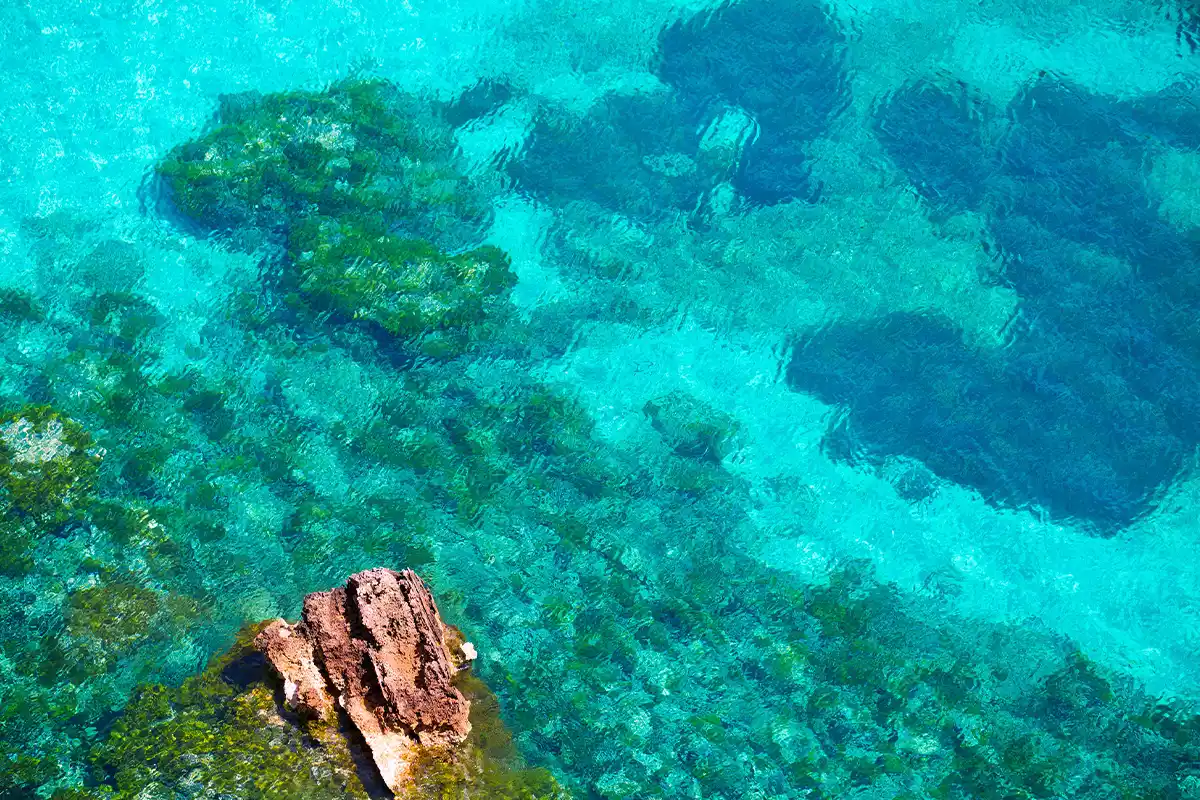 Aguas cristalinas Fornells Fergus Club Carema Splash