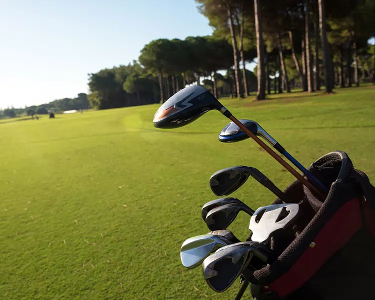 Golf Paguera Golf Paquera Fergus Club Europa