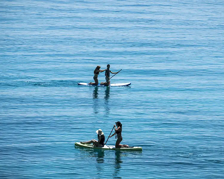 Paddle Surf Paddle Surf Fergus Bermudas