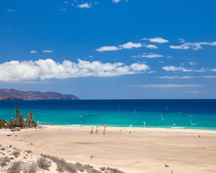 sports de plage Fuerteventura sports de plage Fuerteventura Fergus Cactus Garden
