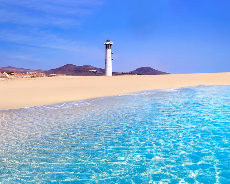 Phare de Jandía Fuerteventura Phare de Jandía Fuerteventura Fergus Cactus Garden