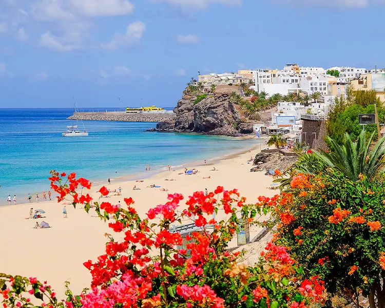 plage de Morro Jable Fuerteventura plage de Morro Jable Fergus Cactus Garden