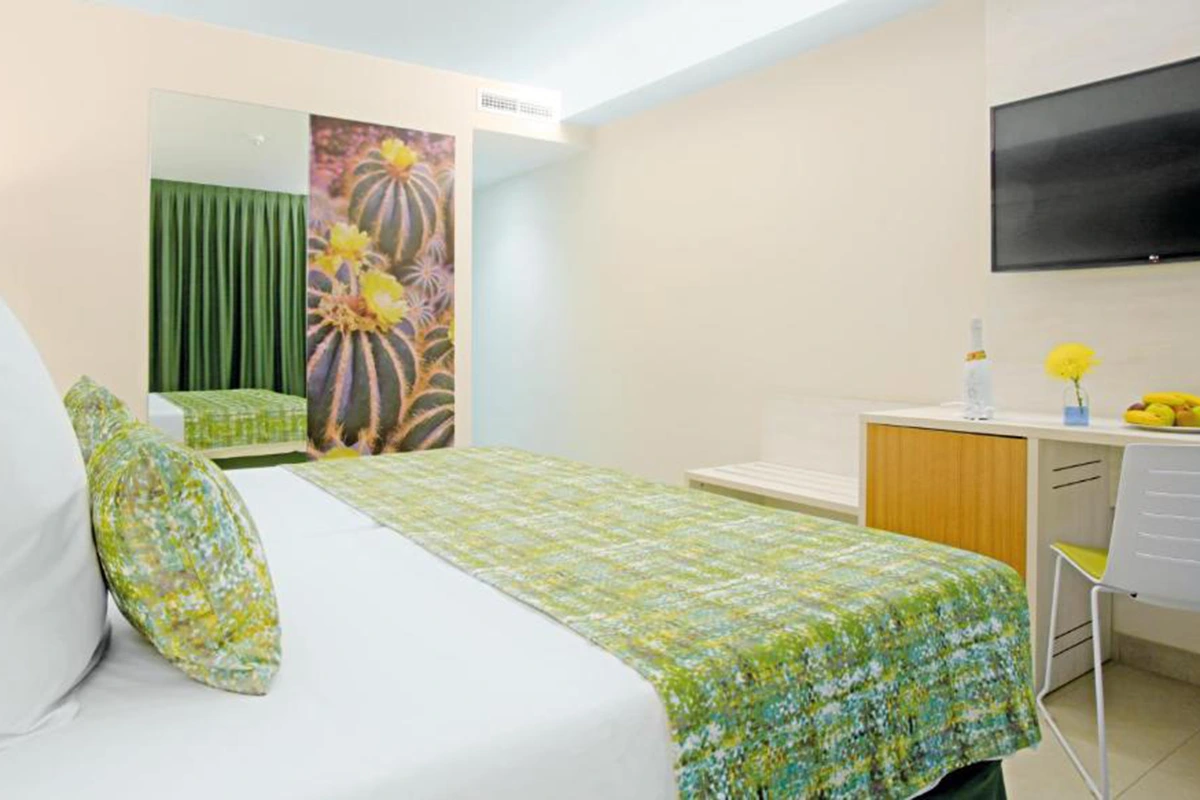 TV Habitación Doble Estándar Fergus Cactus Garden