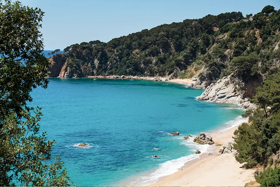 Ocio y actividades Fergus Cap Roig