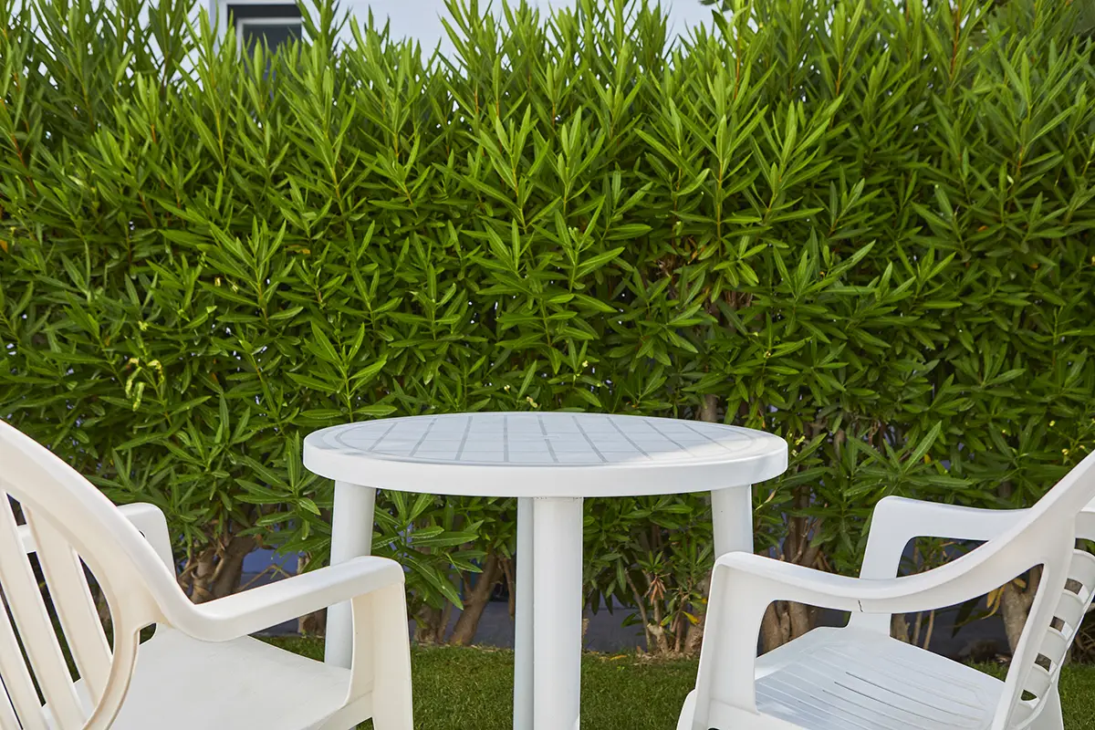 Pequeña terraza ajardinada Terraza ajardinada habitación doble promo Fergus Conil Park