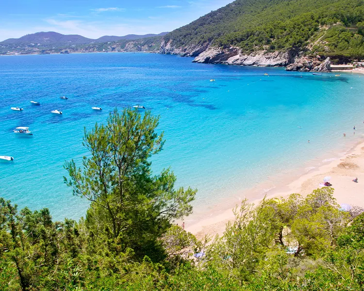 playa es cavallet ibiza fergus style bahamas