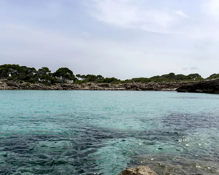 Playas de Ibiza Playas de Ibiza Fergus Style Punta Arabi