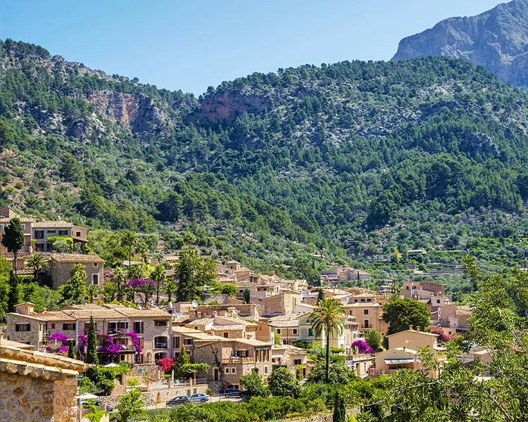 Fortnalux Fergus Style Sóller Beach
