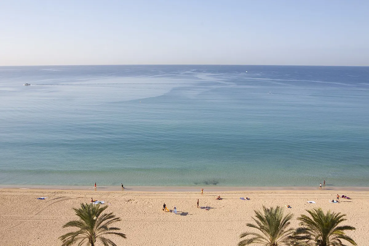 Magnificas vistas al mar Magnificas vistas directas al mar desde la habitación Premier vista al mar del Fergus Style Palma Beach