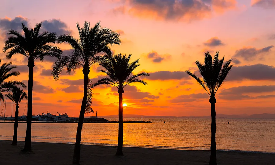 Arenal de Playa de Palma Fergus Style Palma Beach