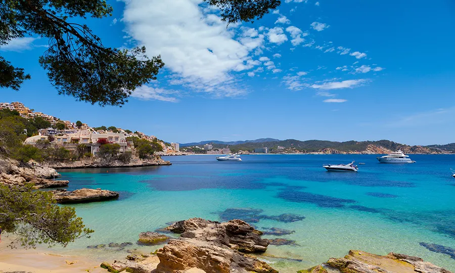 Vue sur la baie de Calvià au Fergus Style Palmanova