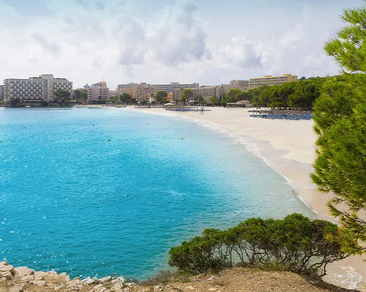 playas Palmanova Fergus Style Tobago