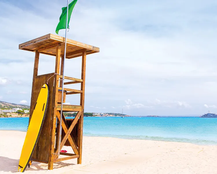 torre playa Palmanova Fergus Style Tobago